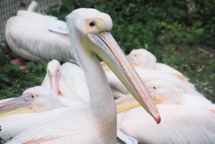 Dagje uit van een poosje terug.