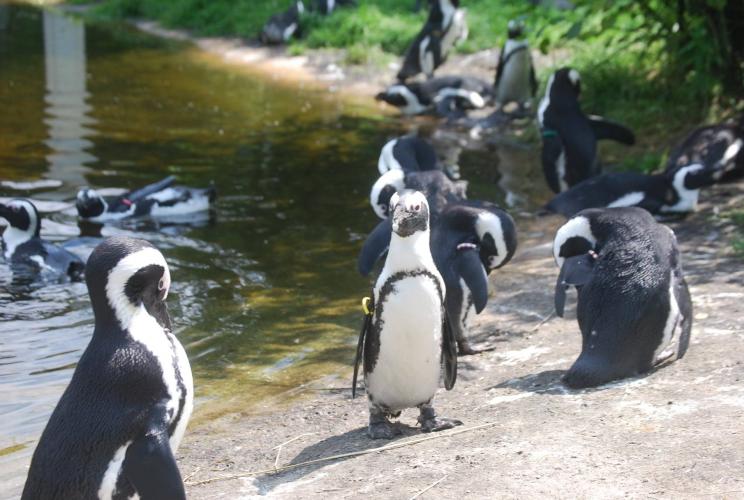 Dagje uit van een poosje terug.