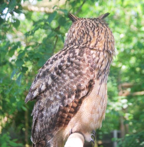 Dagje uit van een poosje terug.