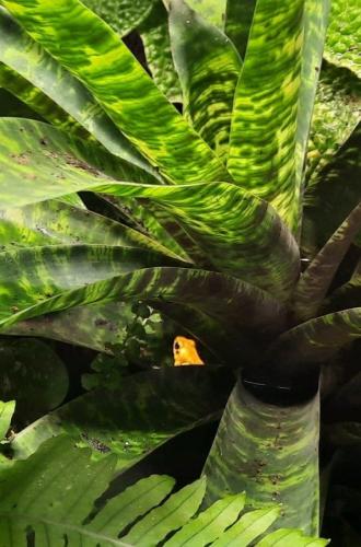 Dagje uit van een poosje terug.