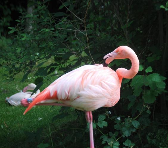 Dagje uit van een poosje terug.