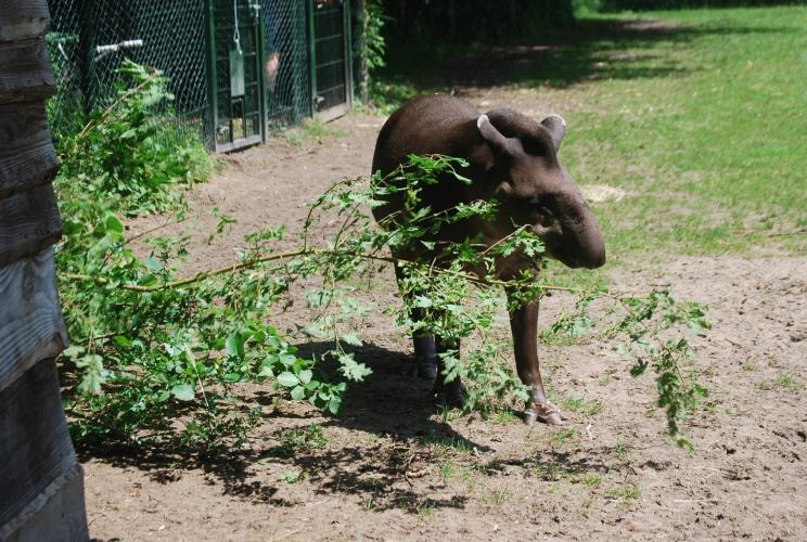 Dagje uit van een poosje terug.