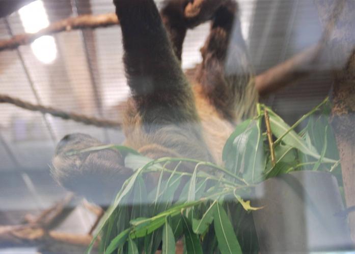 Dagje uit van een poosje terug.