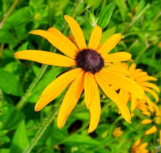 Kon het maar zomer blijven.