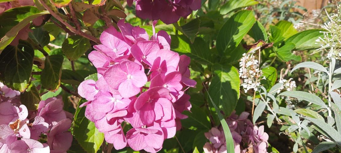 Kon het maar zomer blijven.