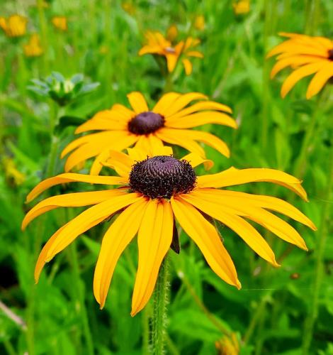 Kon het maar zomer blijven.