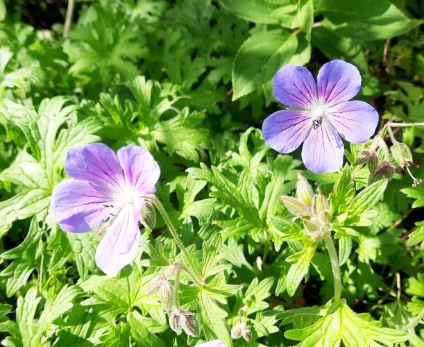 Kon het maar zomer blijven.