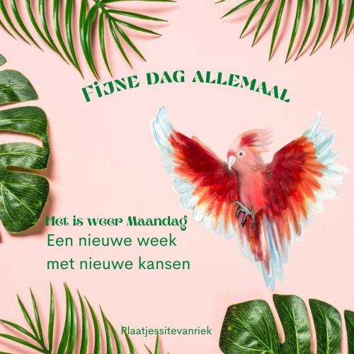 Nieuwe week met nieuwe kansen