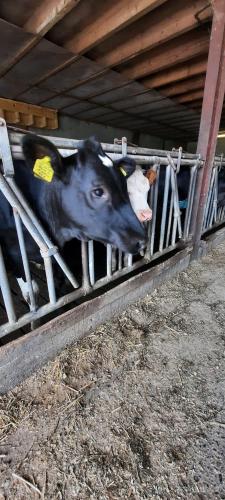 Ik steun de boer jij ook? 