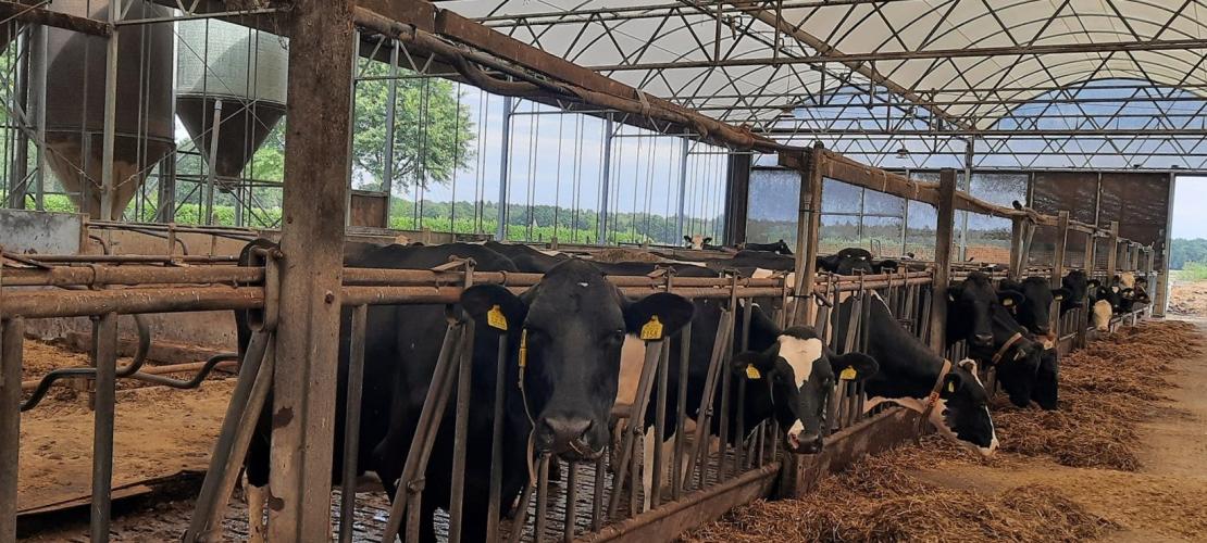 Ik steun de boer jij ook? 