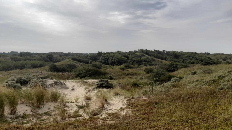 Duinwandeling ...