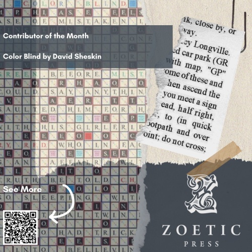 Contributor of the Month January 2025