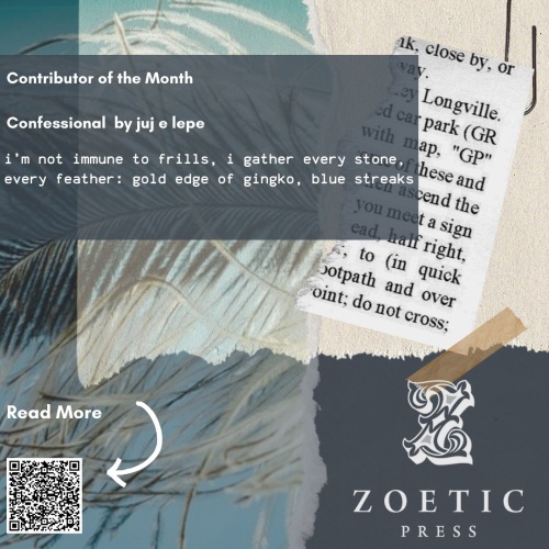 Contributor of the Month December 2024