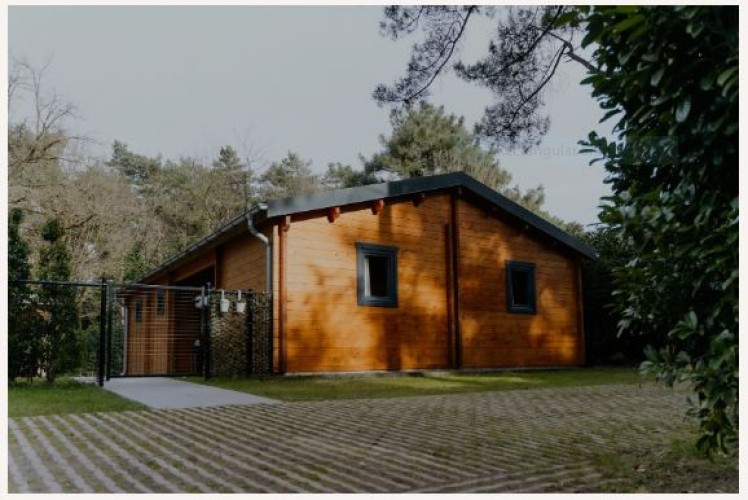 Discover the Tranquility of Boshuisje de Peel: Your Perfect Forest Retreat