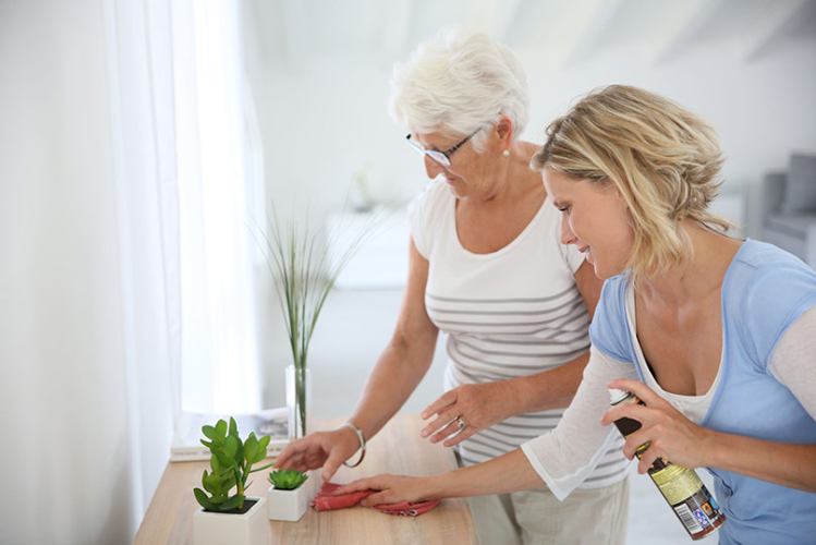 Transform Your Home with The Other Woman: Expert Cleaning Services for Every Need