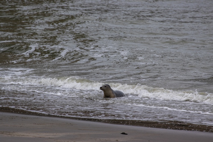 A shipspotting weekend