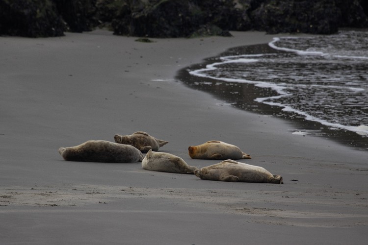 A shipspotting weekend