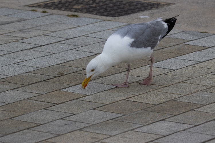 A shipspotting weekend