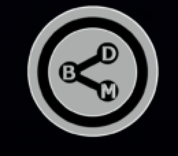 Social Media Management Services: Elevating Your Brand’s Digital Strategy