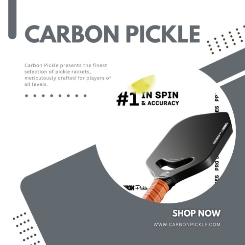 Ace Your Game Unveiling the Best Pickle Rackets of the Year