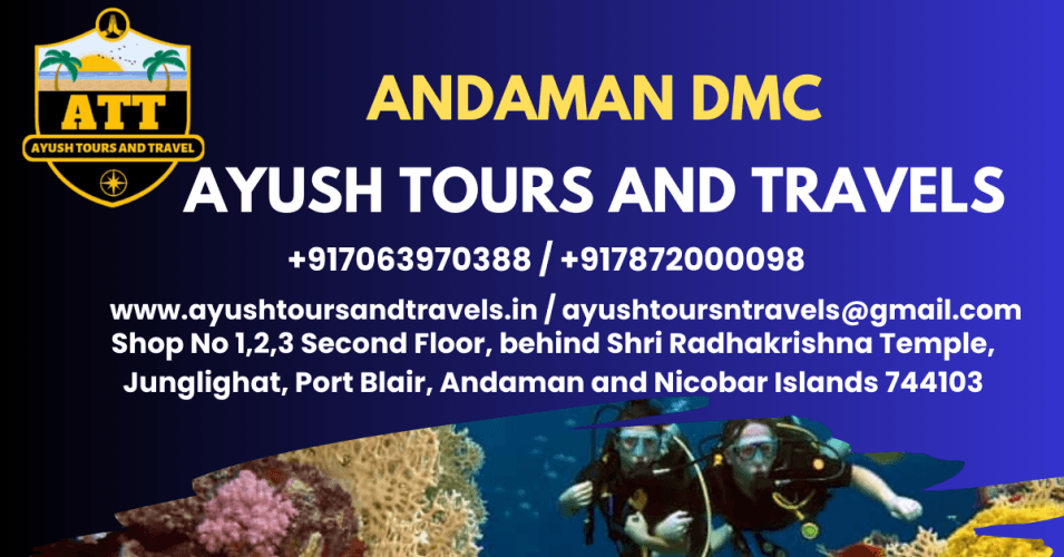 Best Tours and Travels for Andaman
