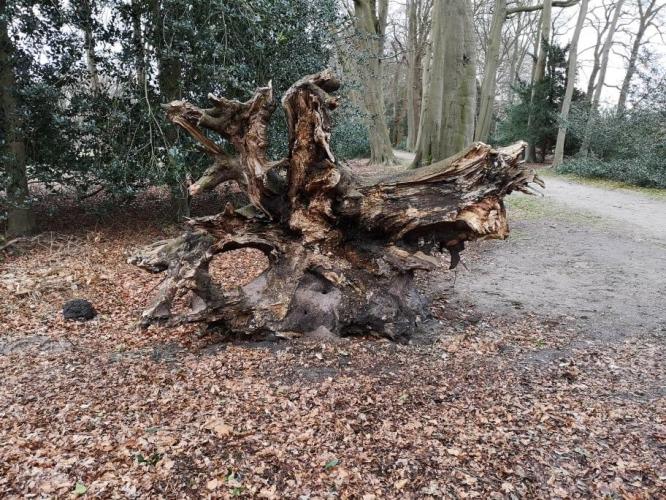 Herfst gebruiken om met kinderen in gesprek te gaan over verlies en rouw