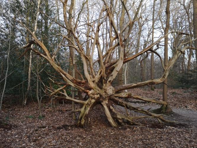 Herfst gebruiken om met kinderen in gesprek te gaan over verlies en rouw