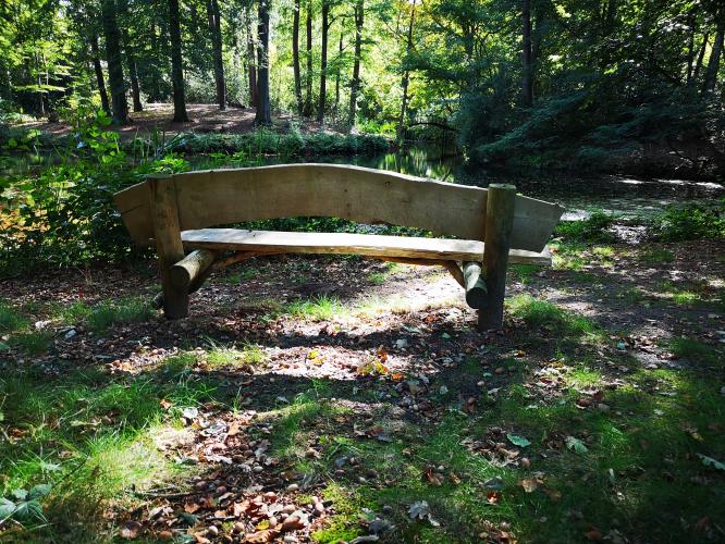 Herfst gebruiken om met kinderen in gesprek te gaan over verlies en rouw