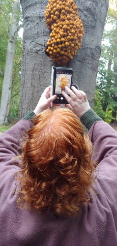 De internationale dag tegen racisme