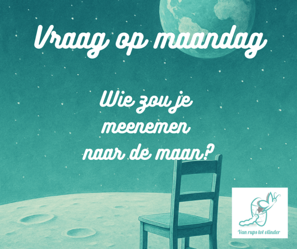 Naar de maan