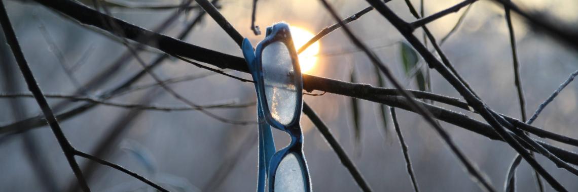 De winterse wandeling