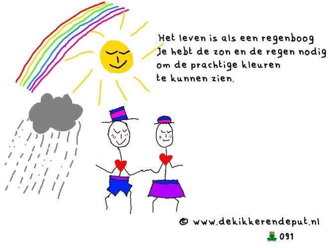 Regenboog