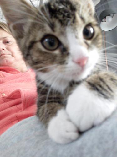 #Disney is the new one...