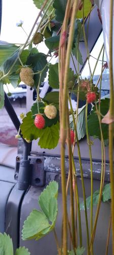 Cadeau voor mijn 30ste verjaardag