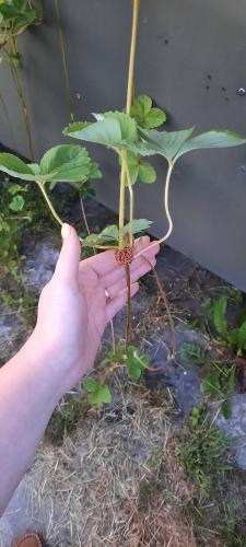 Cadeau voor mijn 30ste verjaardag