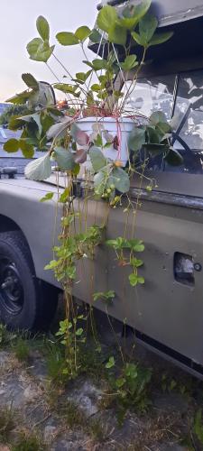 Cadeau voor mijn 30ste verjaardag