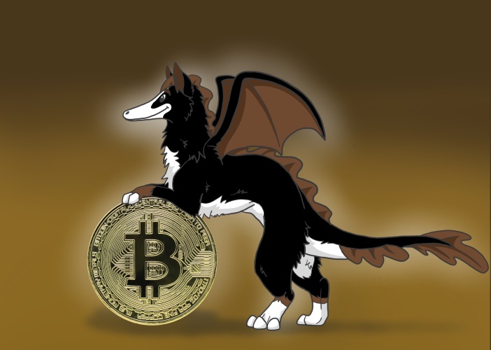 Hebben jullie Bitcoin?