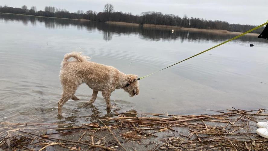 Wandelen rondom Winterswijk 