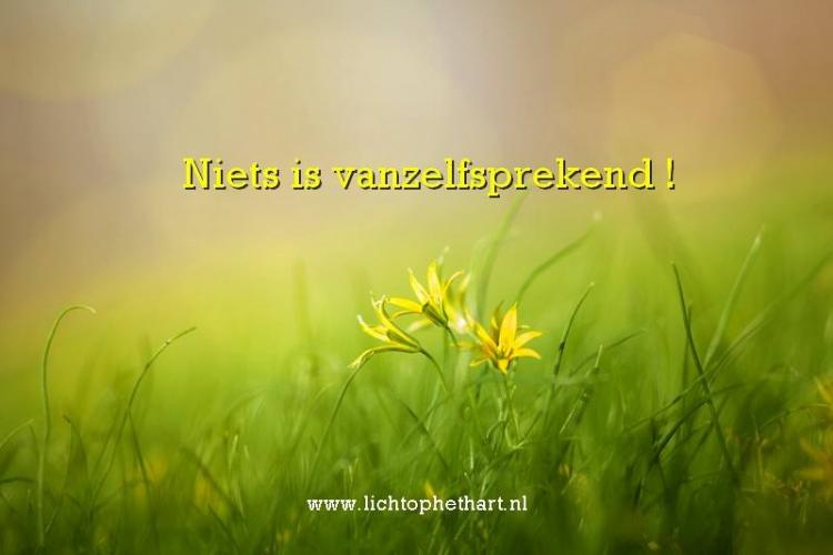Niets is vanzelfsprekend. 