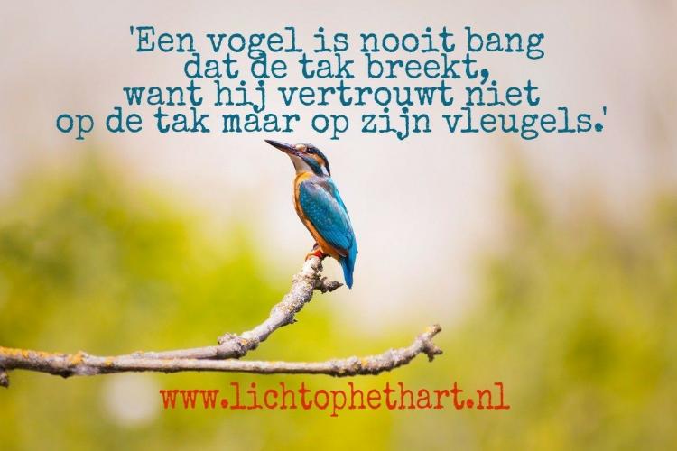 'Een vogel is nooit bang dat de tak breekt, want hij vertrouwt niet op de tak maar op zijn vleugels.'