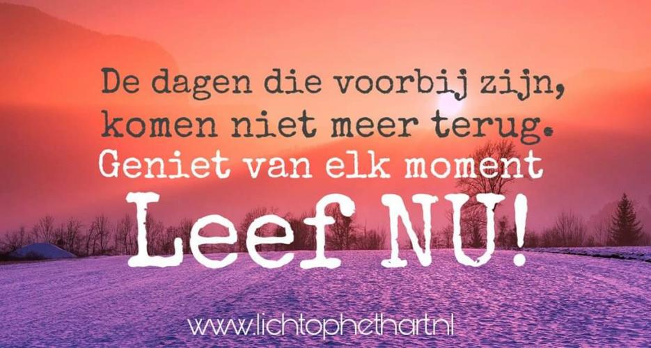 De dagen die voorbij zijn, komen niet meer terug. Geniet van elk moment. LEEF NU !