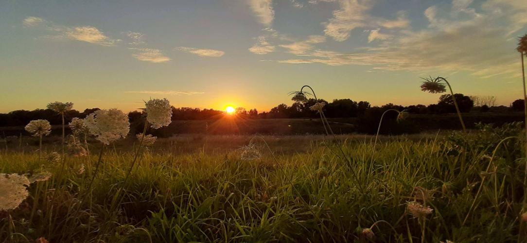 Zonsondergang Limburg