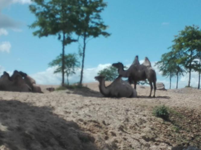 Een zonnige #zomer groet