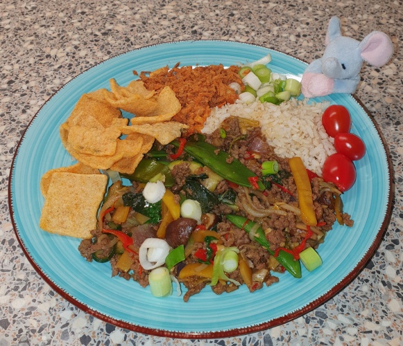 Sannie's Thais wokgerecht