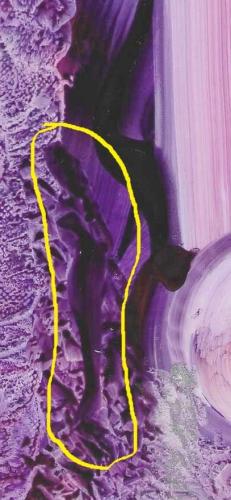 <a class="removable-mention" translate="no" data-mentionid="171885" href="/useroverview/171885/">@Bumblebea</a> in de gele cirkel