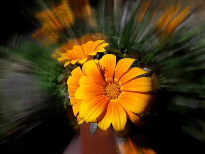 Yoors Flower 10-daagse, dag 3