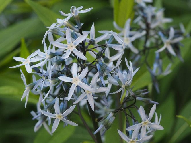 Yoors Flower 10-daagse, dag 13. We gaan door!