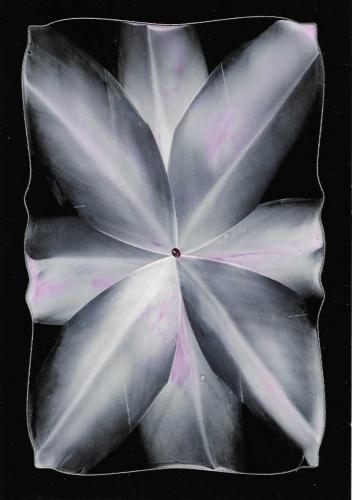 Lines and shapes (encaustic)