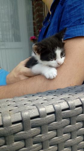 Beta and Critique readers, wanted.