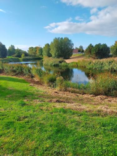 Autumn walk through nature 